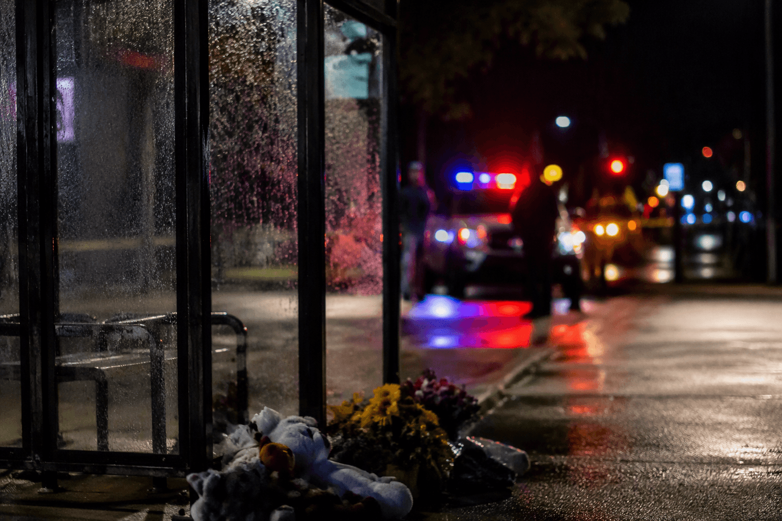 Illinois prosecutors seek adult murder charge in clown costume killing
