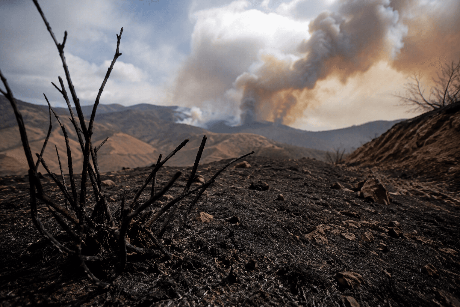 Suspect in Gann Fire had prior conviction for burning land in 2018