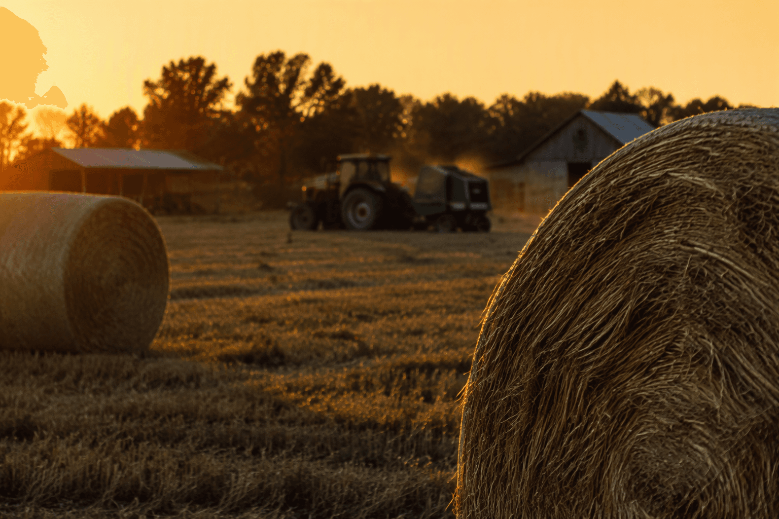 Holmes County Extension seeks local hay and straw producers