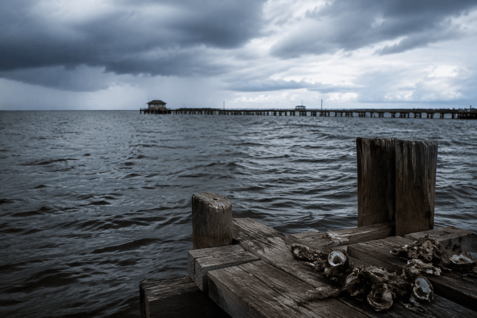 Louisiana warns of rising flesh-eating bacteria infections after five deaths