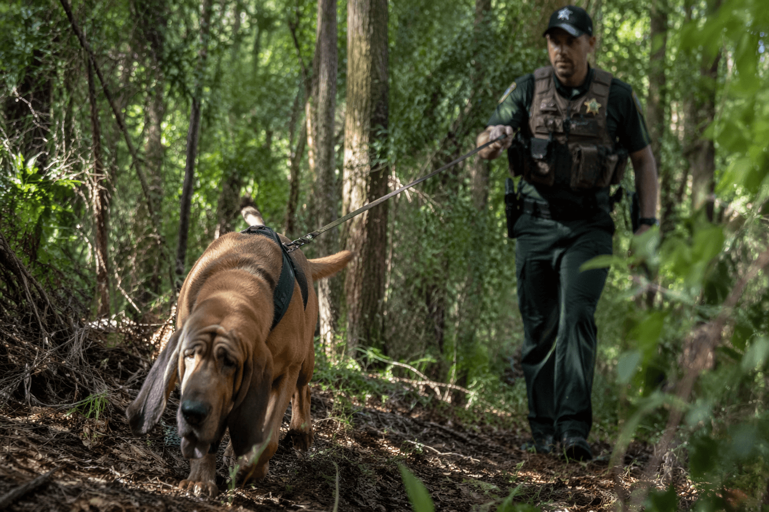 Florida police dog Boomer locates missing 96-year-old man in woods
