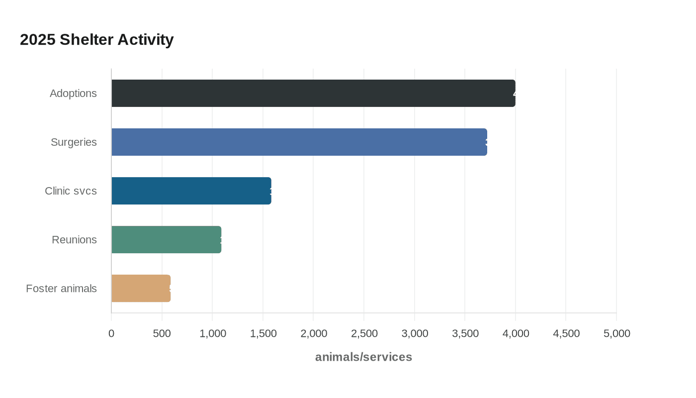 Data visualization chart