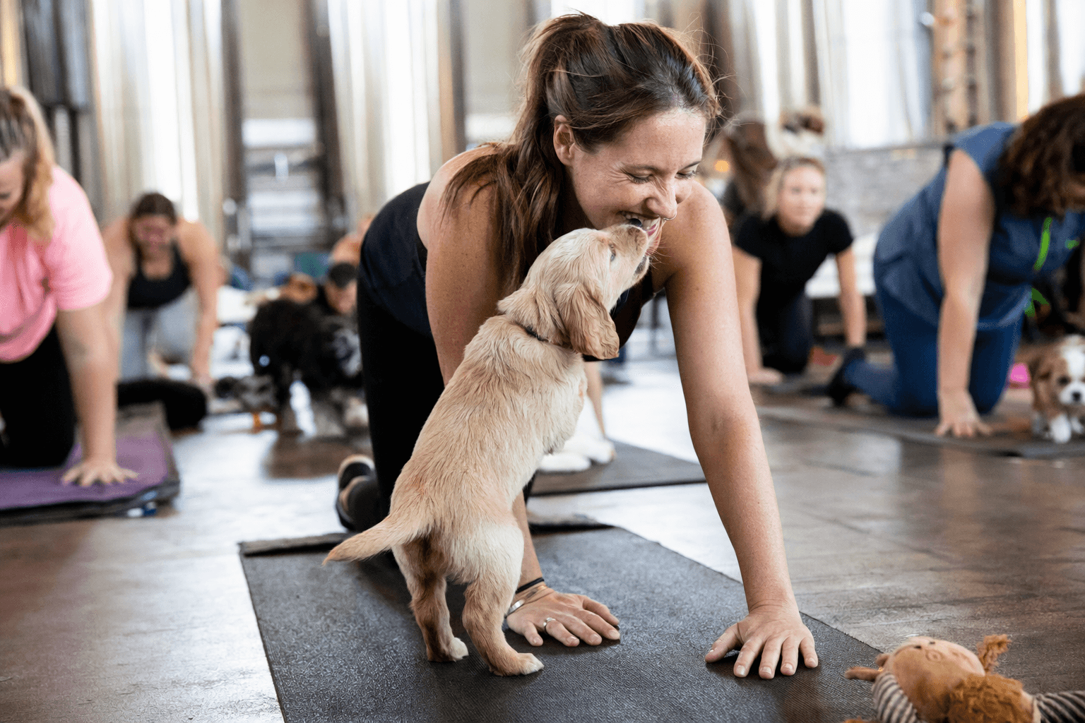 FOX 9 spotlights beginner-friendly puppy yoga at Shakopee brewery weekend lineup