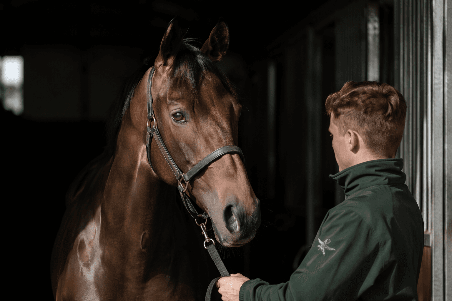 Centrum, Enable's half-brother, makes debut for Juddmonte at Salisbury