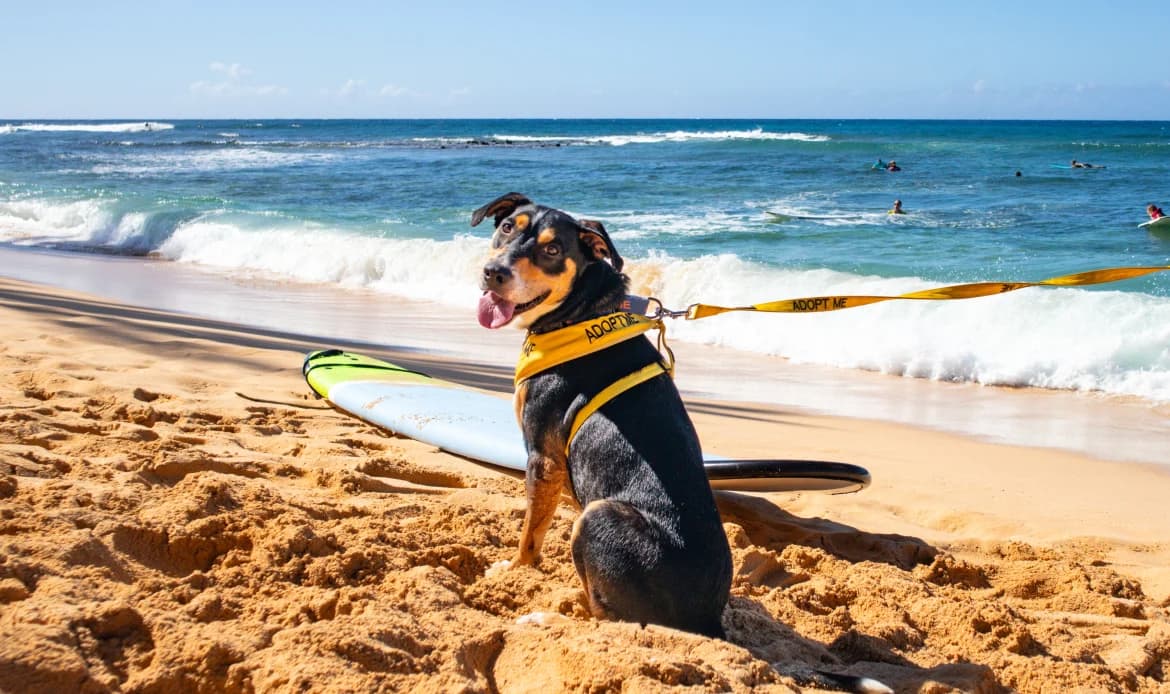 A Day Out That Changes Everything