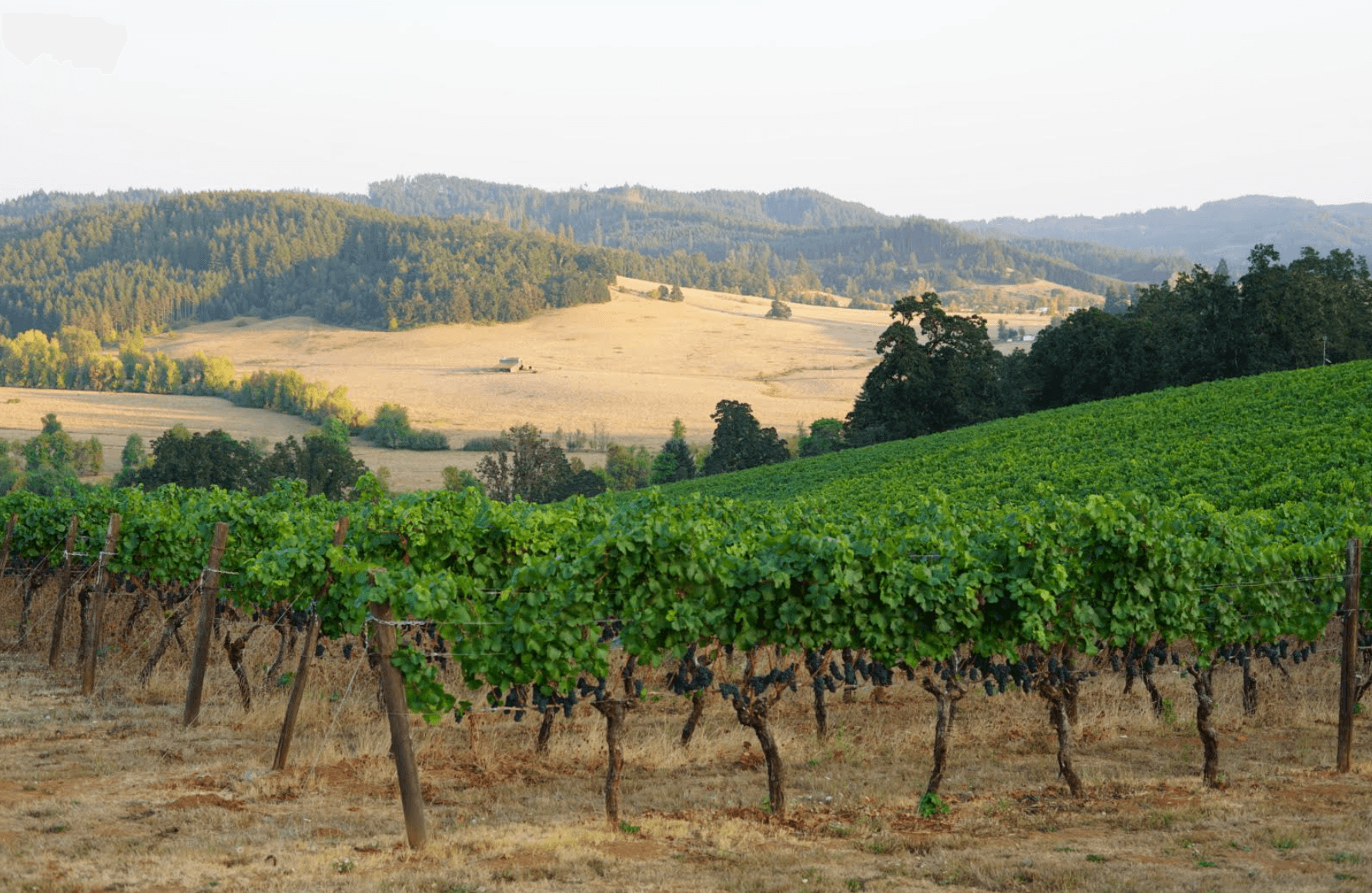 Screenshot 2026 03 18 At 12.19.48