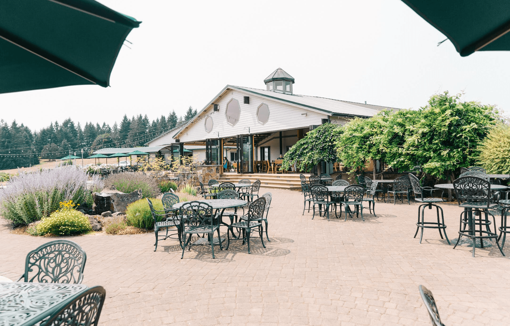 Screenshot 2026 03 18 At 12.20.11