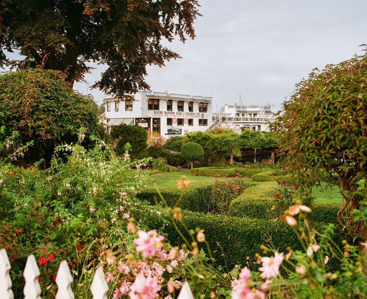 588935806 18125747065518809 2232877972253114877 N