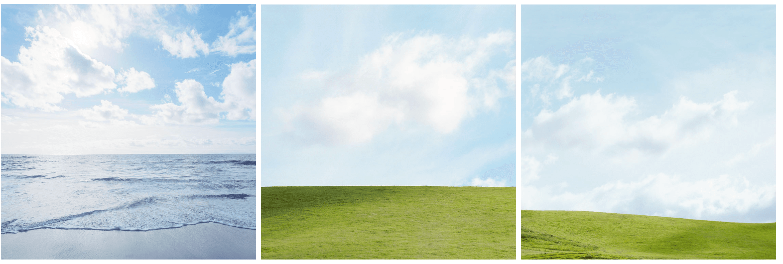 Nick Carver Dust Up 01