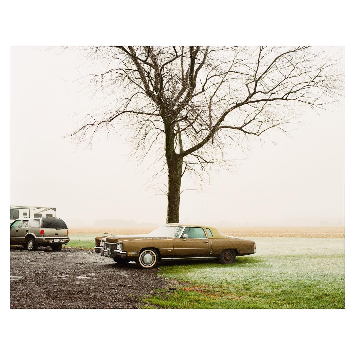 241513724 1051643068941003 1513318255621944520 N