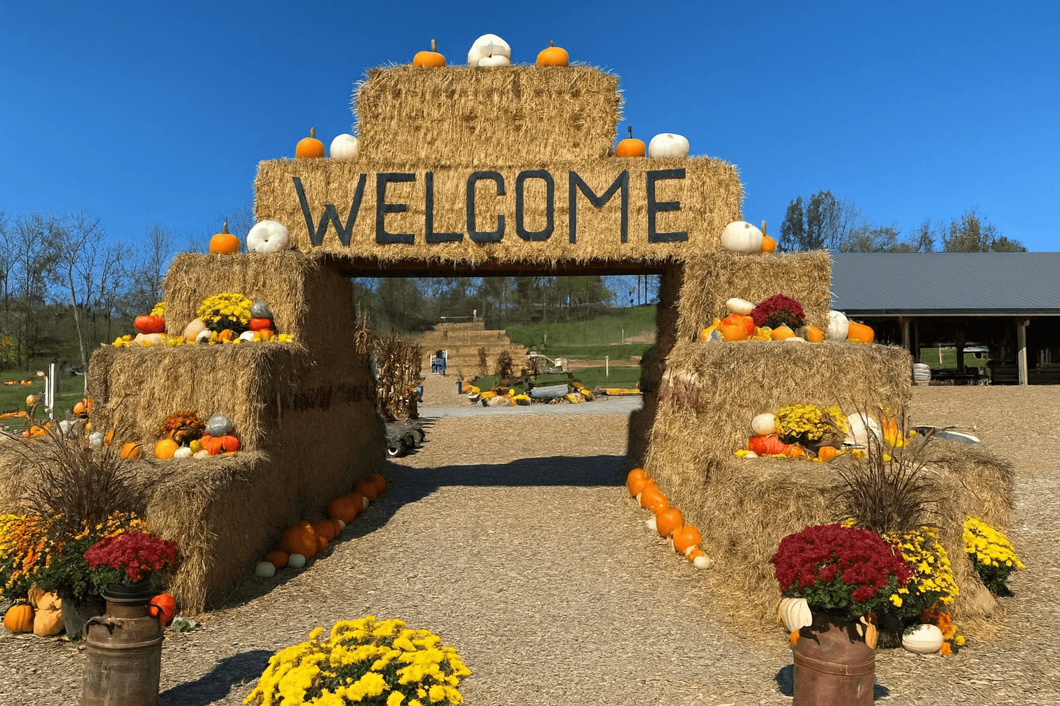 Columbus Day Cheer: Walnut Creek’s Fall Festival Ignites Holmes County’s Harvest Spirit