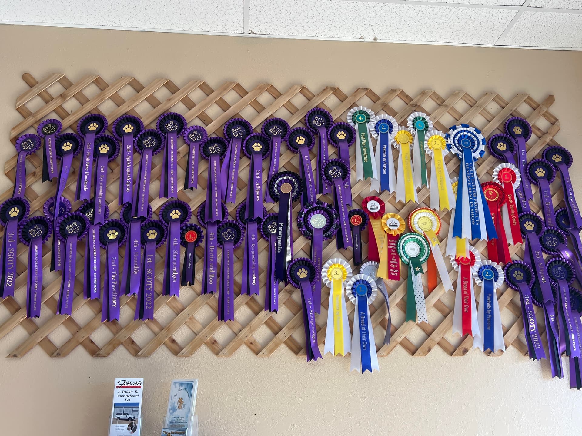 Pretty Pooch & Kitty Too! Celebrates the Certified Team Behind Its Farmington Grooming Salon
