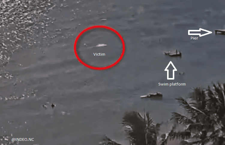 Fatal shark attack kills wing foil surfer in New Caledonia