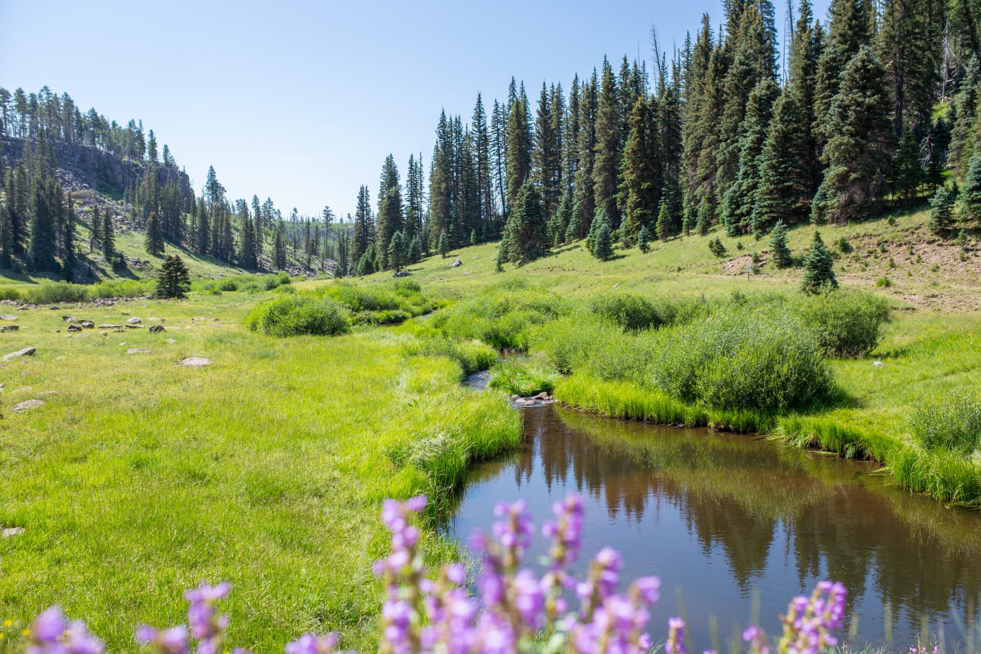 Apache-Sitgreaves National Forests guide helps plan Apache County outdoor trips
