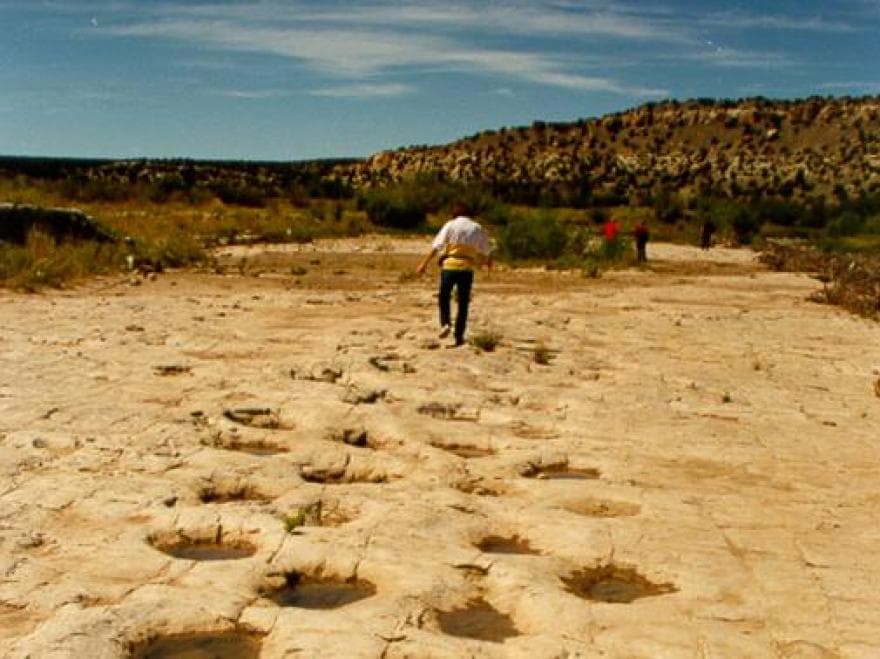 Comanche National Grassland spans three counties, offers vast public recreation