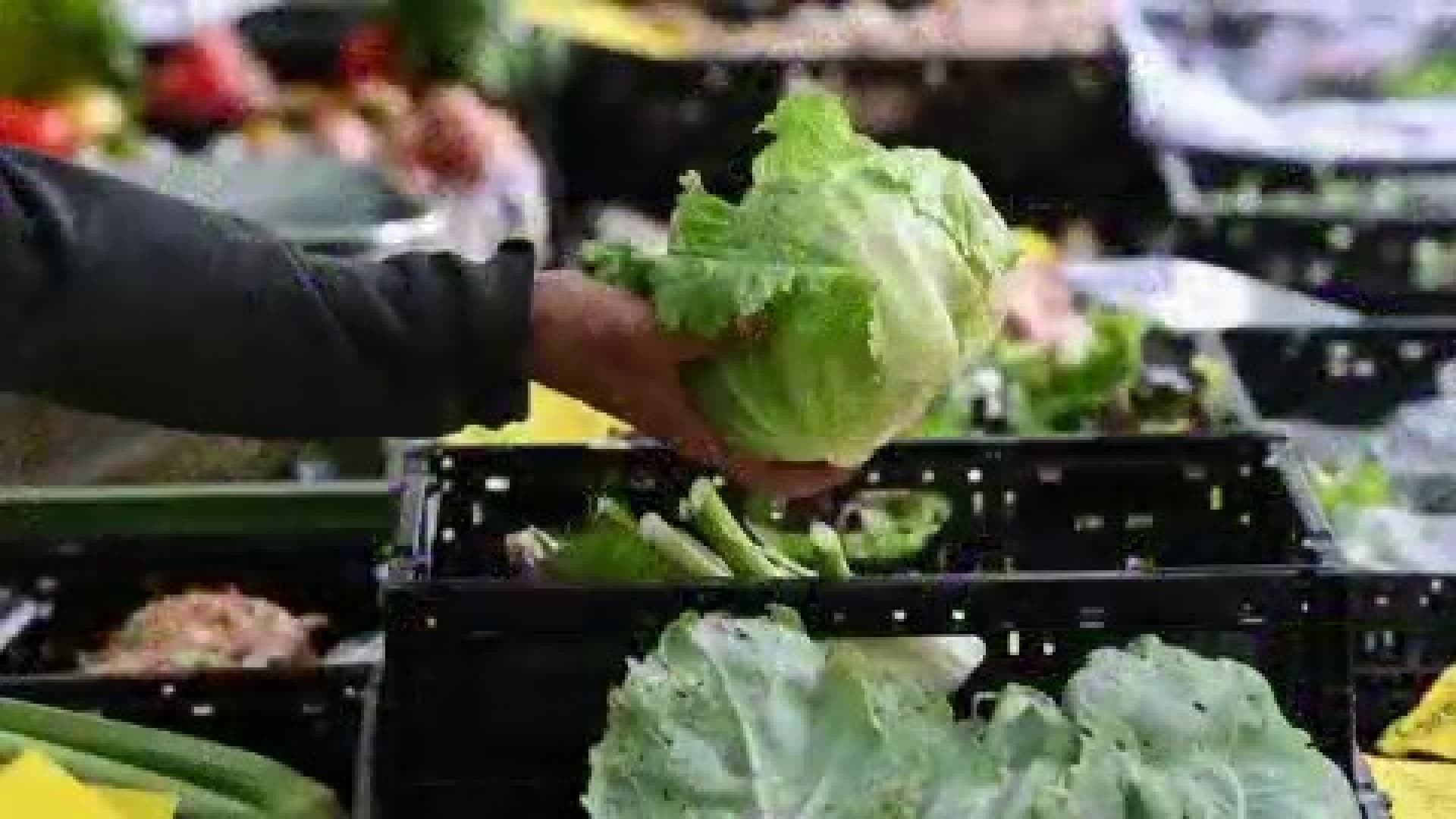 Garcia probes whether Taylor Farms used White House ties in outbreak response