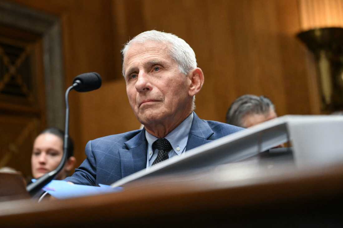 Paul says Fauci could face prosecution after Senate hearing