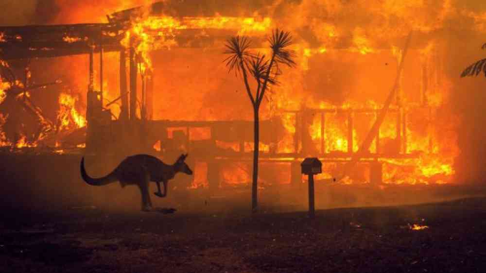 Australia’s fire lessons, Indigenous burning shapes wildfire preparedness