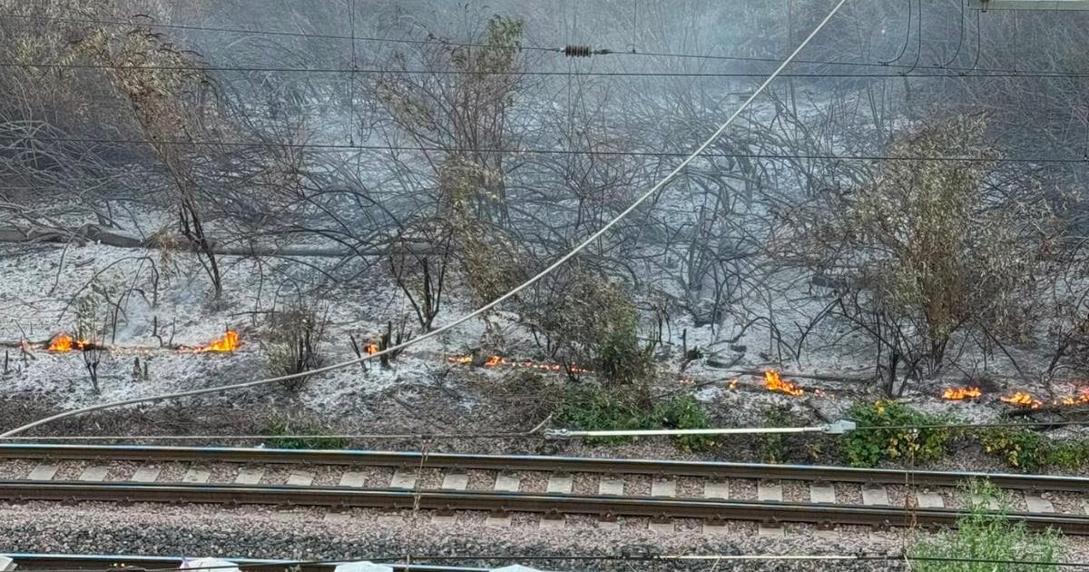 Trackside fire halts Greater Anglia trains to London and Stansted Airport