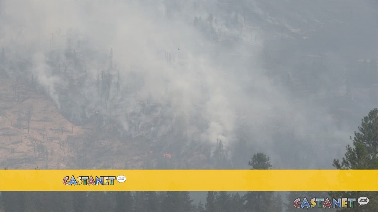 Wildfire destroys 230 homes in British Columbia Indigenous community