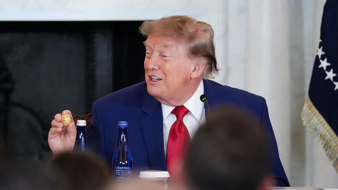 Trump announces $180 million to train mining workforce for minerals push