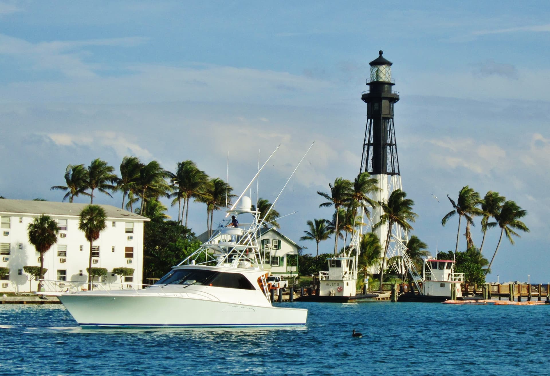 Lighthouse Point homeowner fatally shoots dog during pet attack investigation