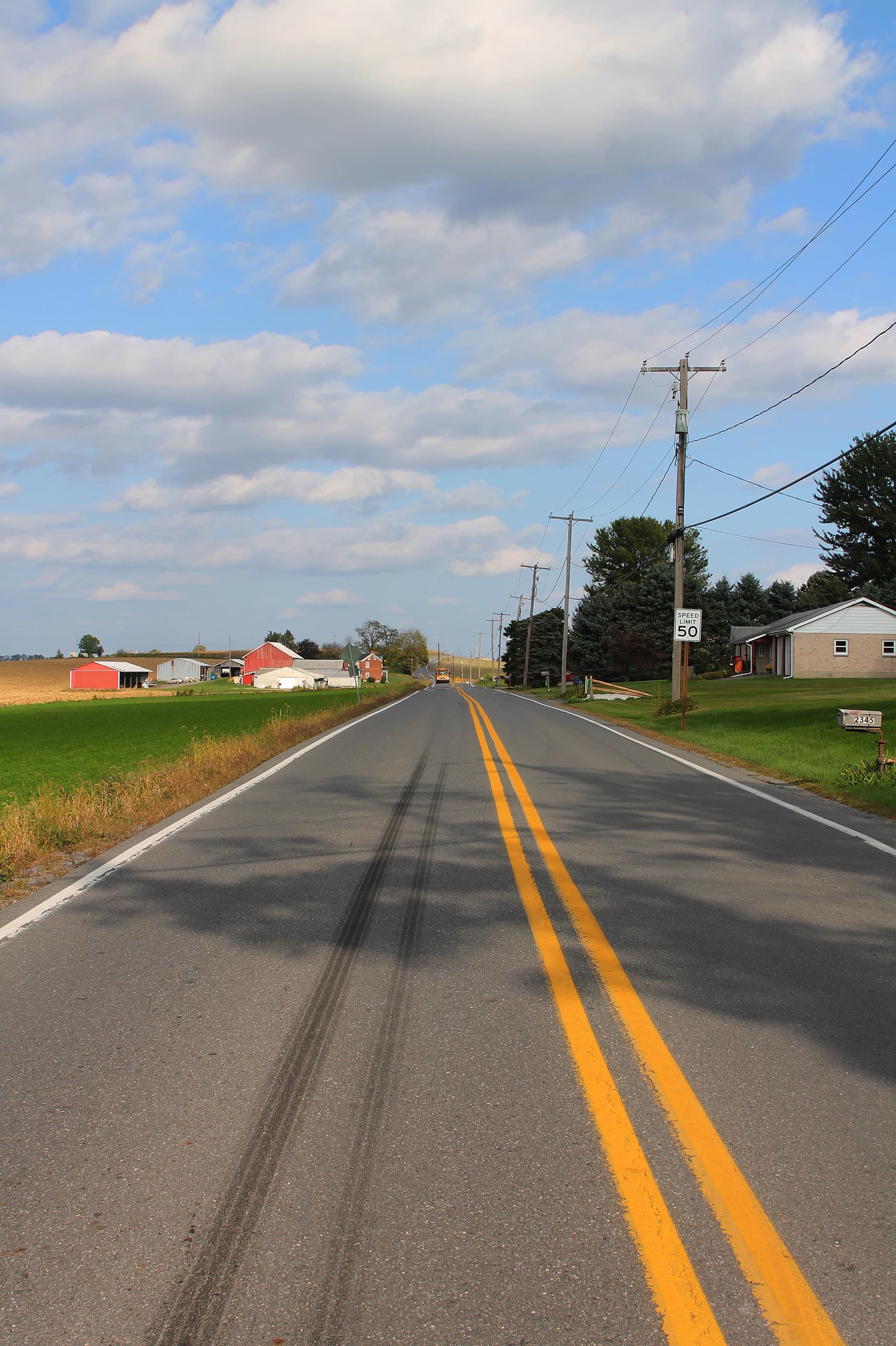 Lewisburg woman charged in tire slashing case on Kelly Township road