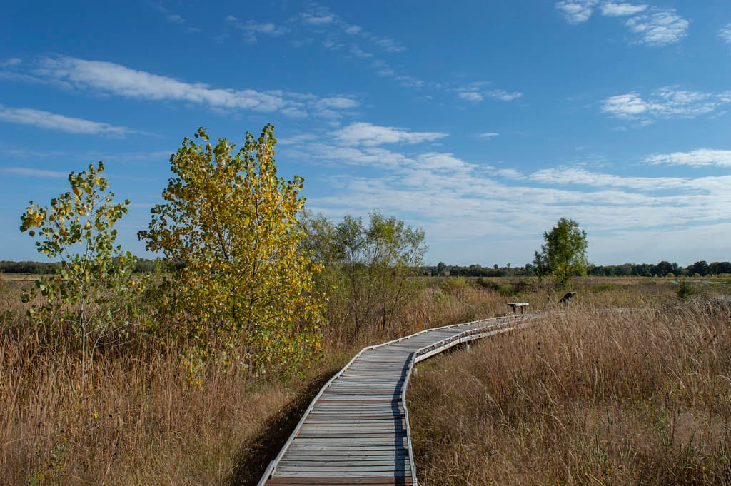 Baker University wetlands blend conservation, trails and outdoor learning
