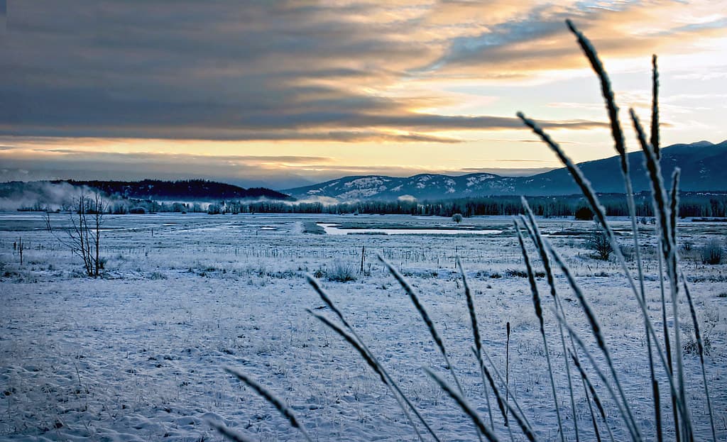 Kootenai National Wildlife Refuge protects habitat, offers public access