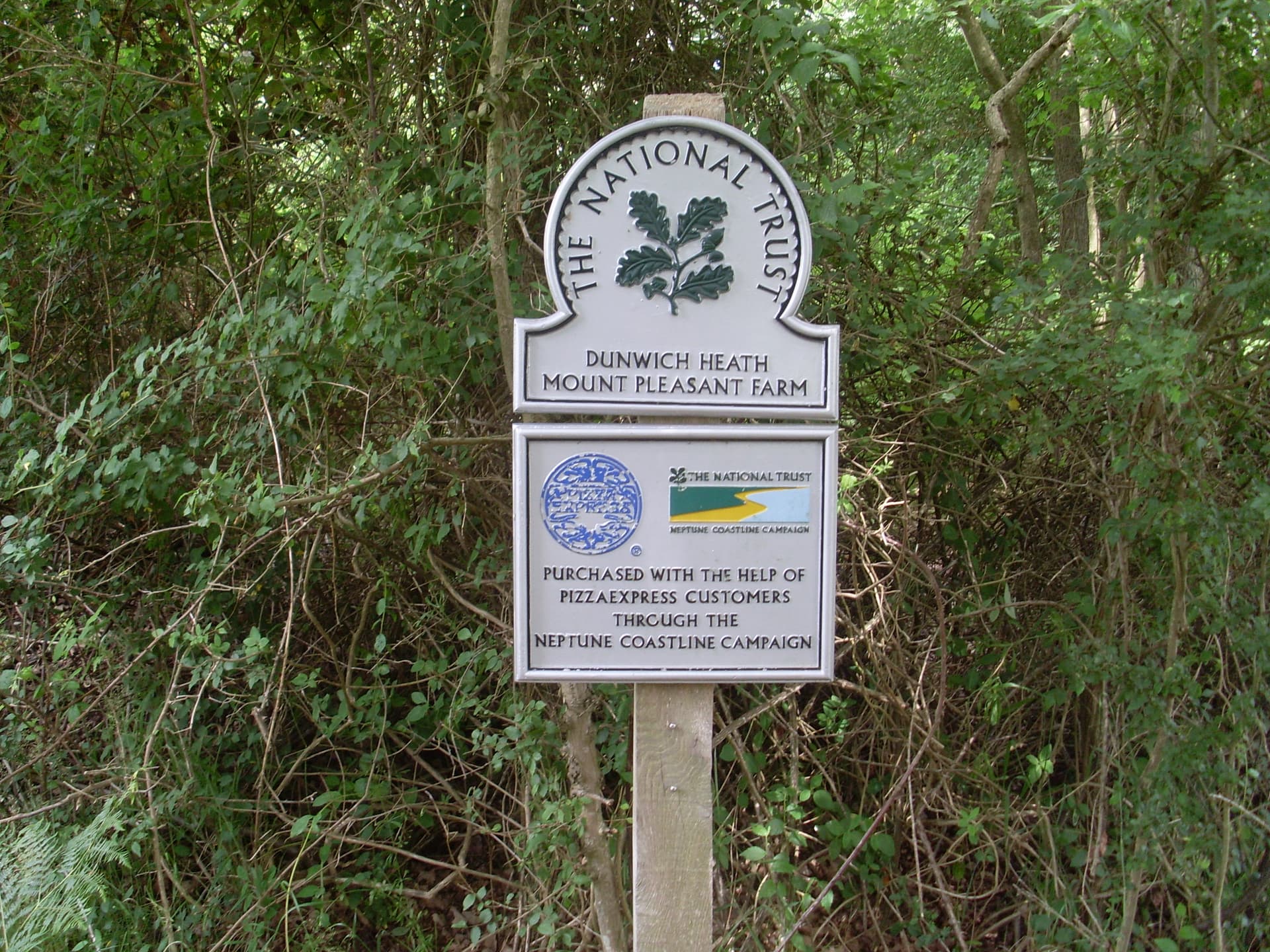 Related photo