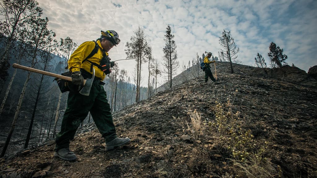 Idaho Lands seeks tips on Potlatch Hill and Saw Mill fires