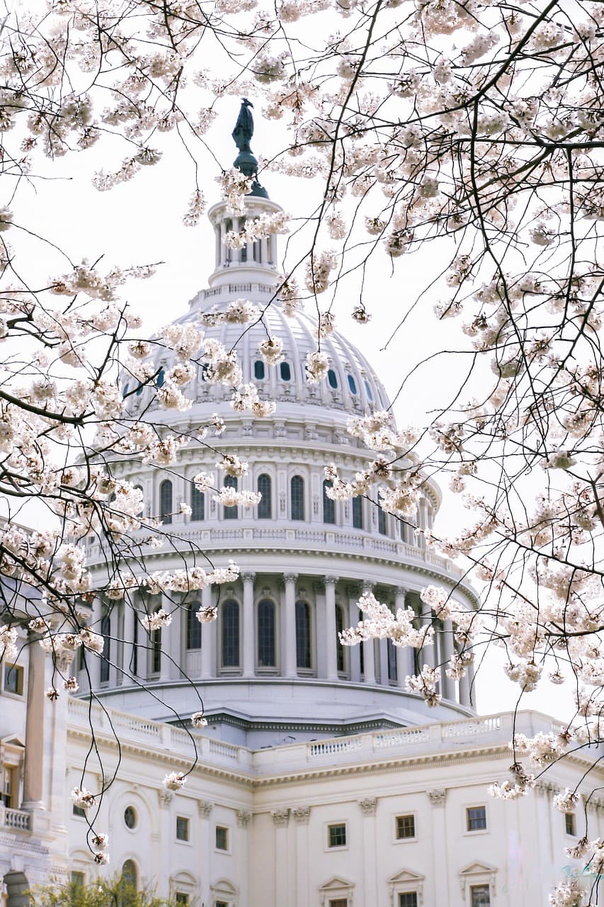 Senate panel moves toward contempt vote after Fauci invokes Fifth Amendment