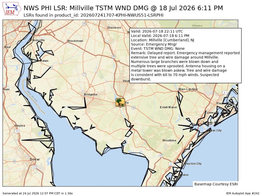 Delayed storm report details tree and wire damage in Millville