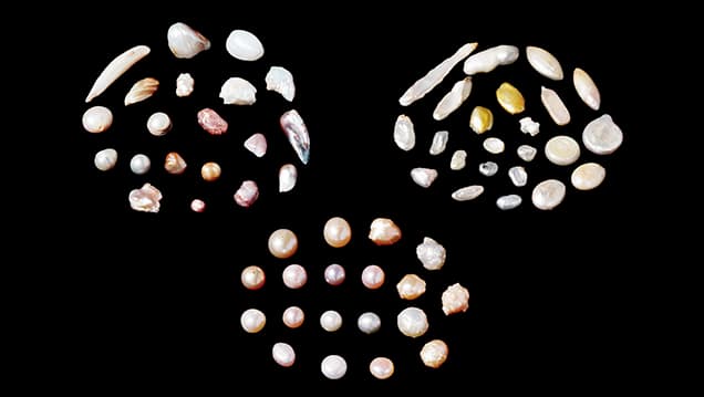 How GIA uses trace elements to pinpoint freshwater pearl origins
