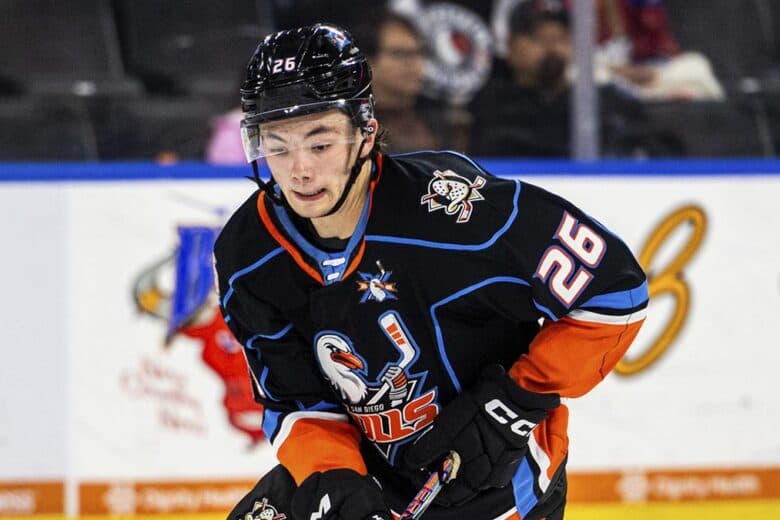 Anaheim Ducks prospects McQueen and Luneau eye NHL roster spots
