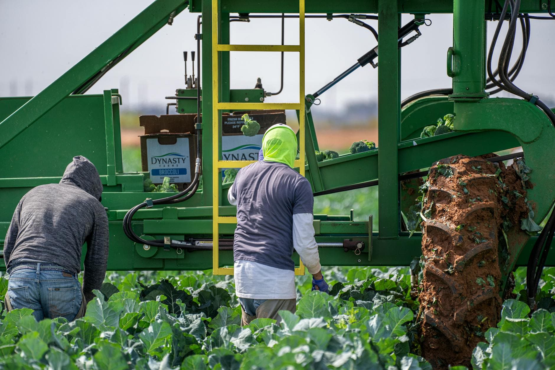 Buena Vista County farm worker wins homegrown talent grant