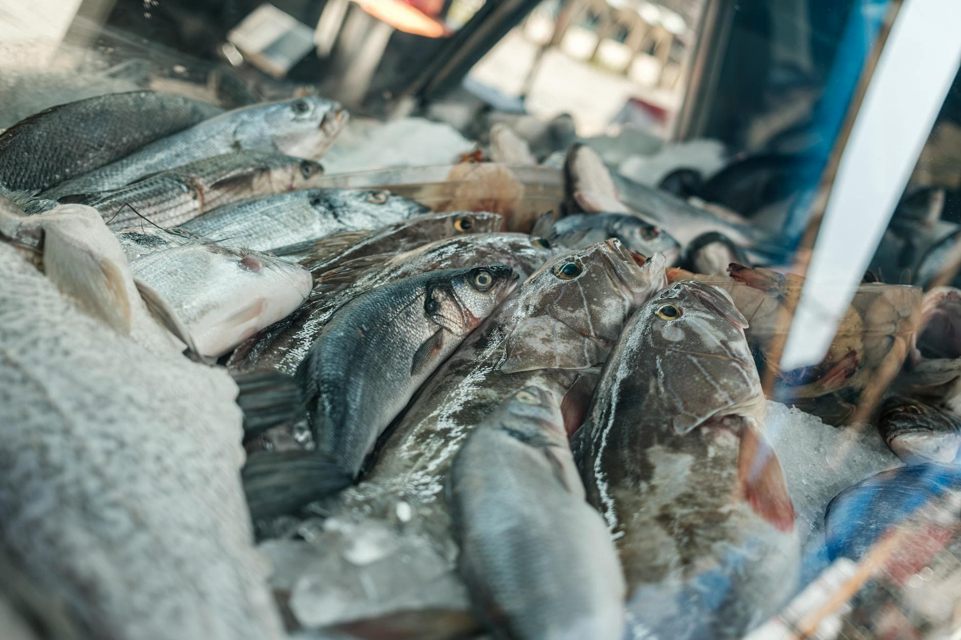 Plant-based fish market seen reaching $3.6 billion by 2036