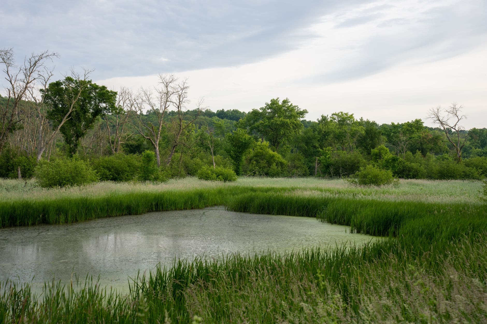 Menominee County plan guides growth, housing and conservation through 2030