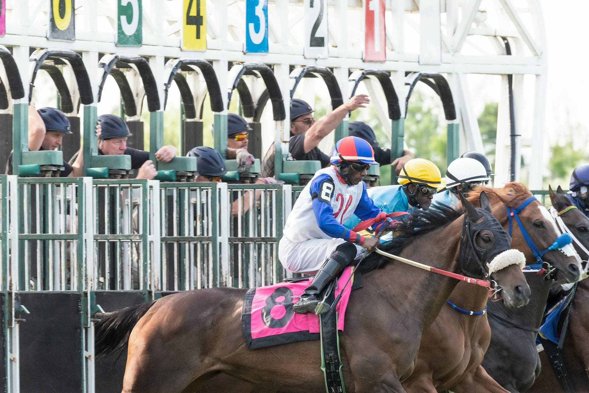 Kathleen O'Connell makes Tampa Bay Downs history with five-win card