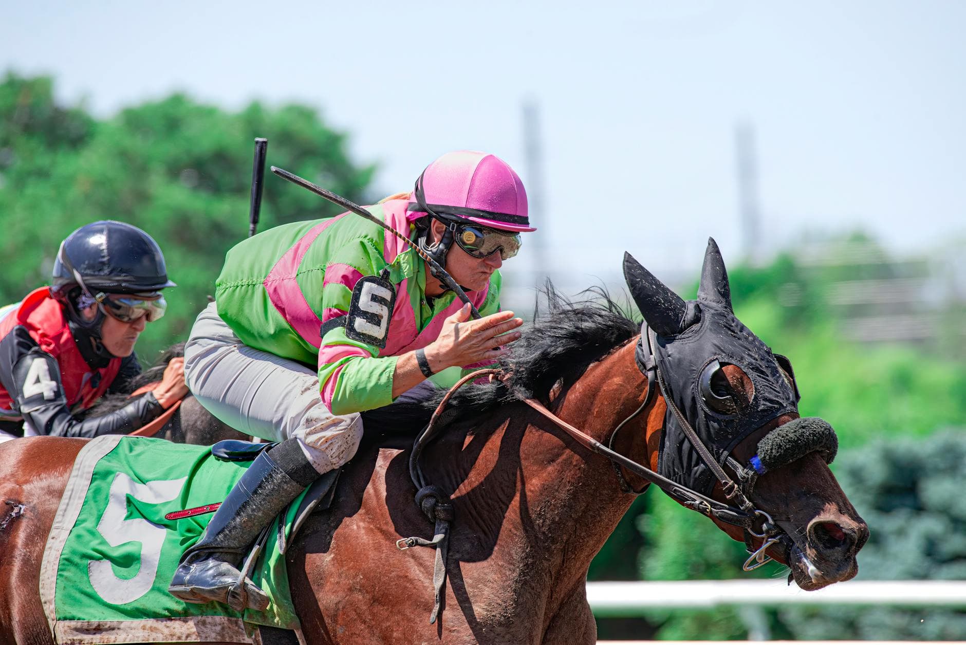 Coal Battle set for comeback in Oaklawn's Lake Ouachita Stakes