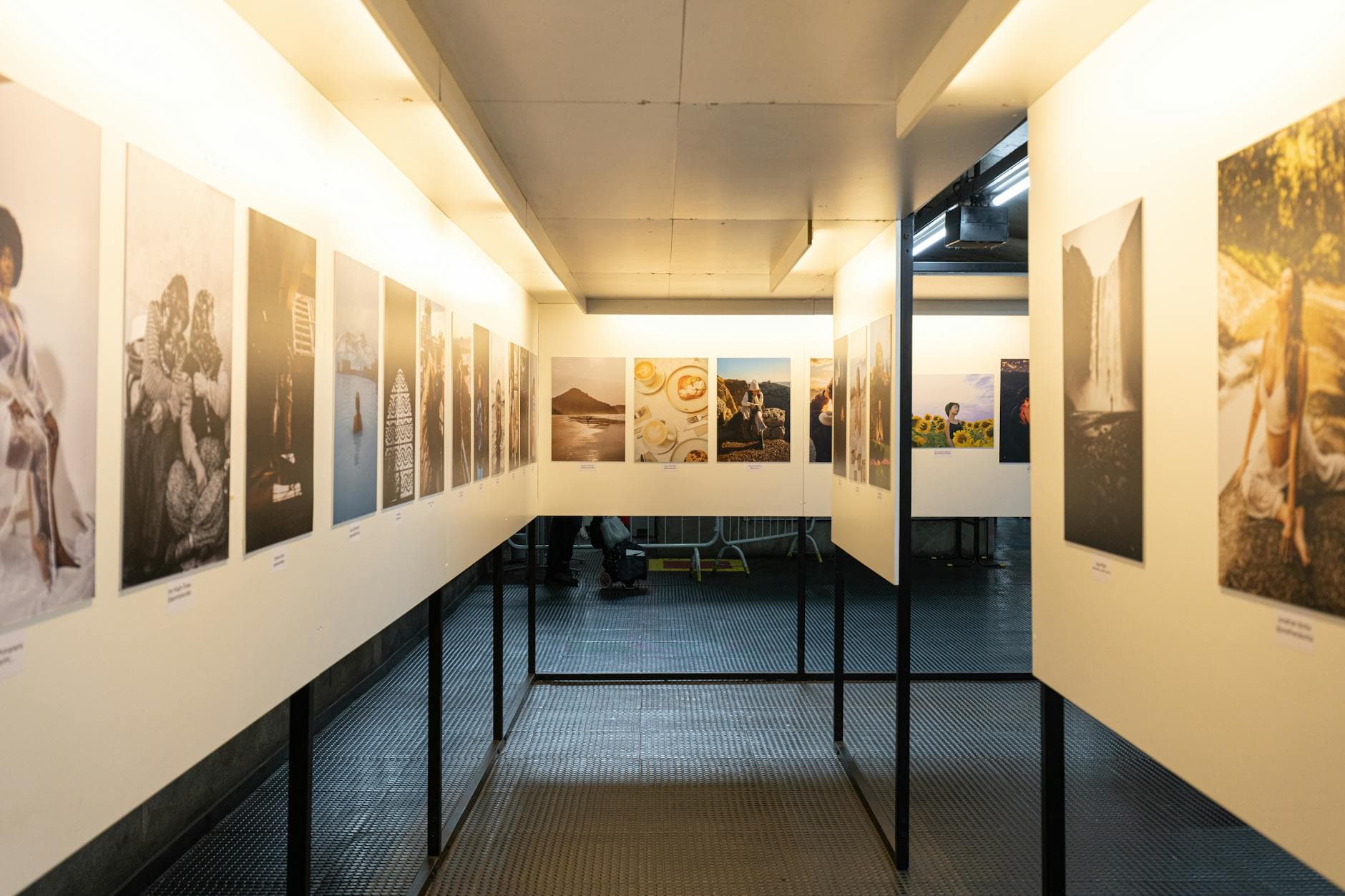 Former Tottenham goalkeeper Alfie Whiteman retires, opens first photography exhibition