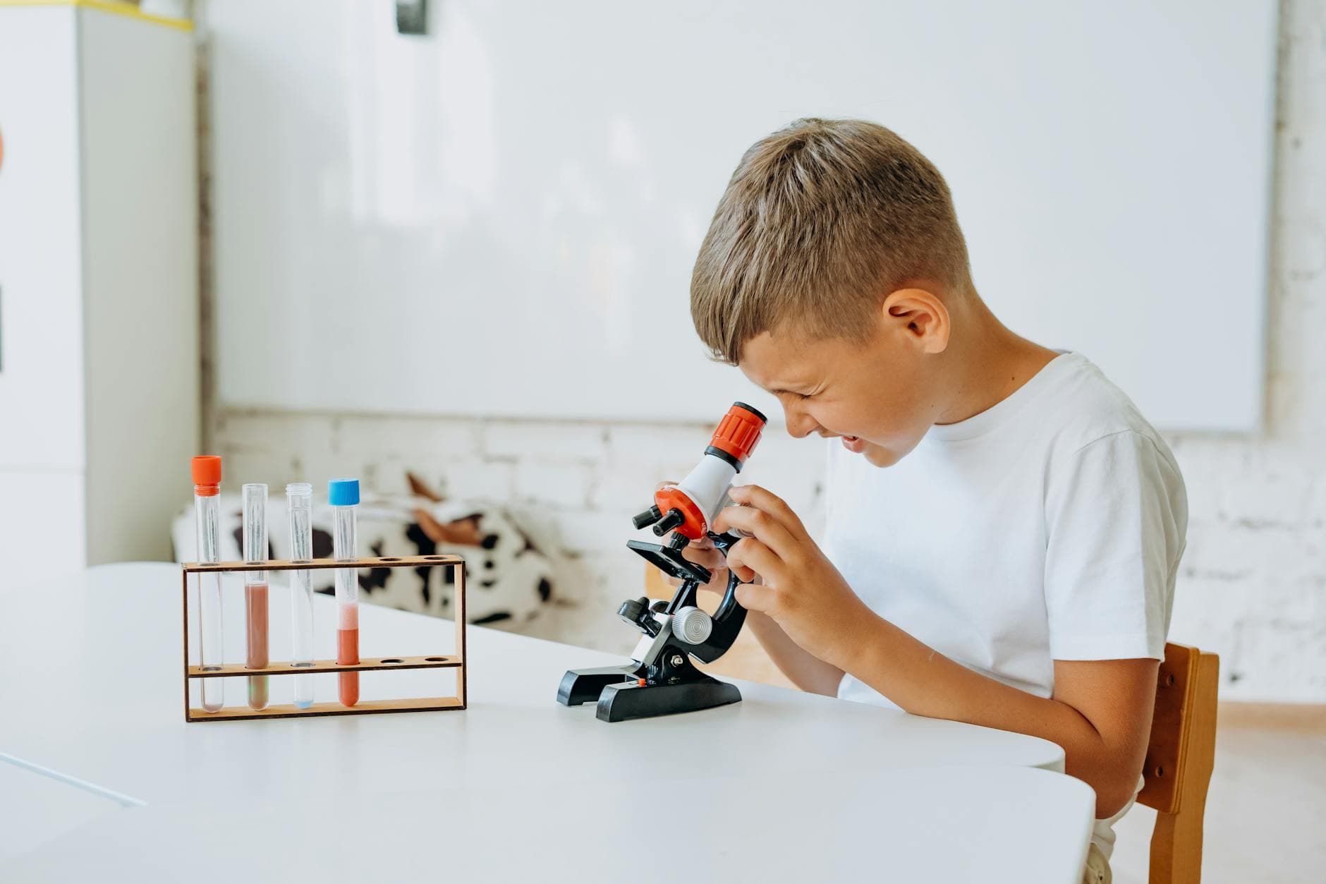 Stambaugh Elementary science fair showcases student curiosity, hands-on learning