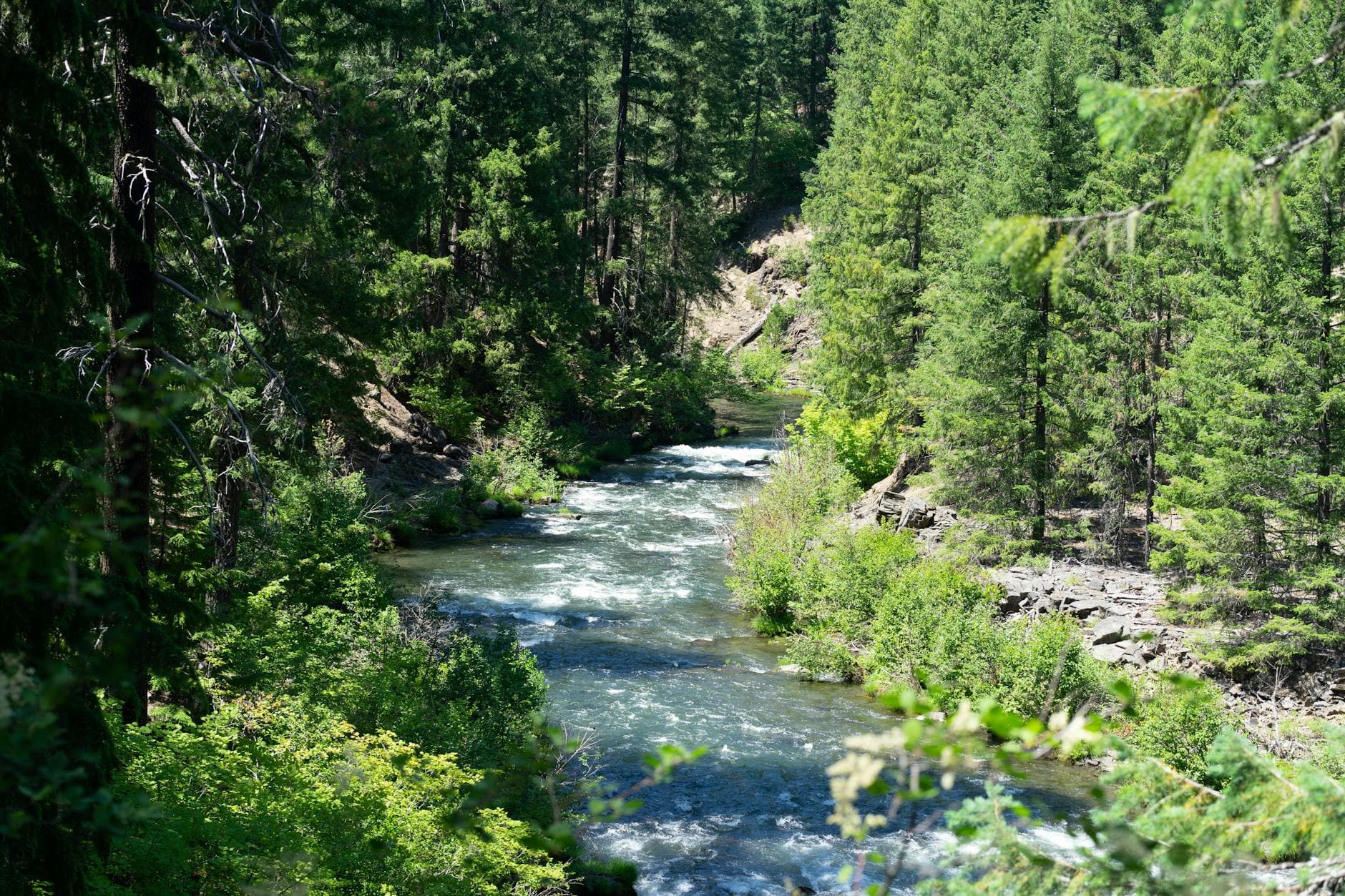 South Fork McKenzie River restoration to reconnect floodplain, boost habitat