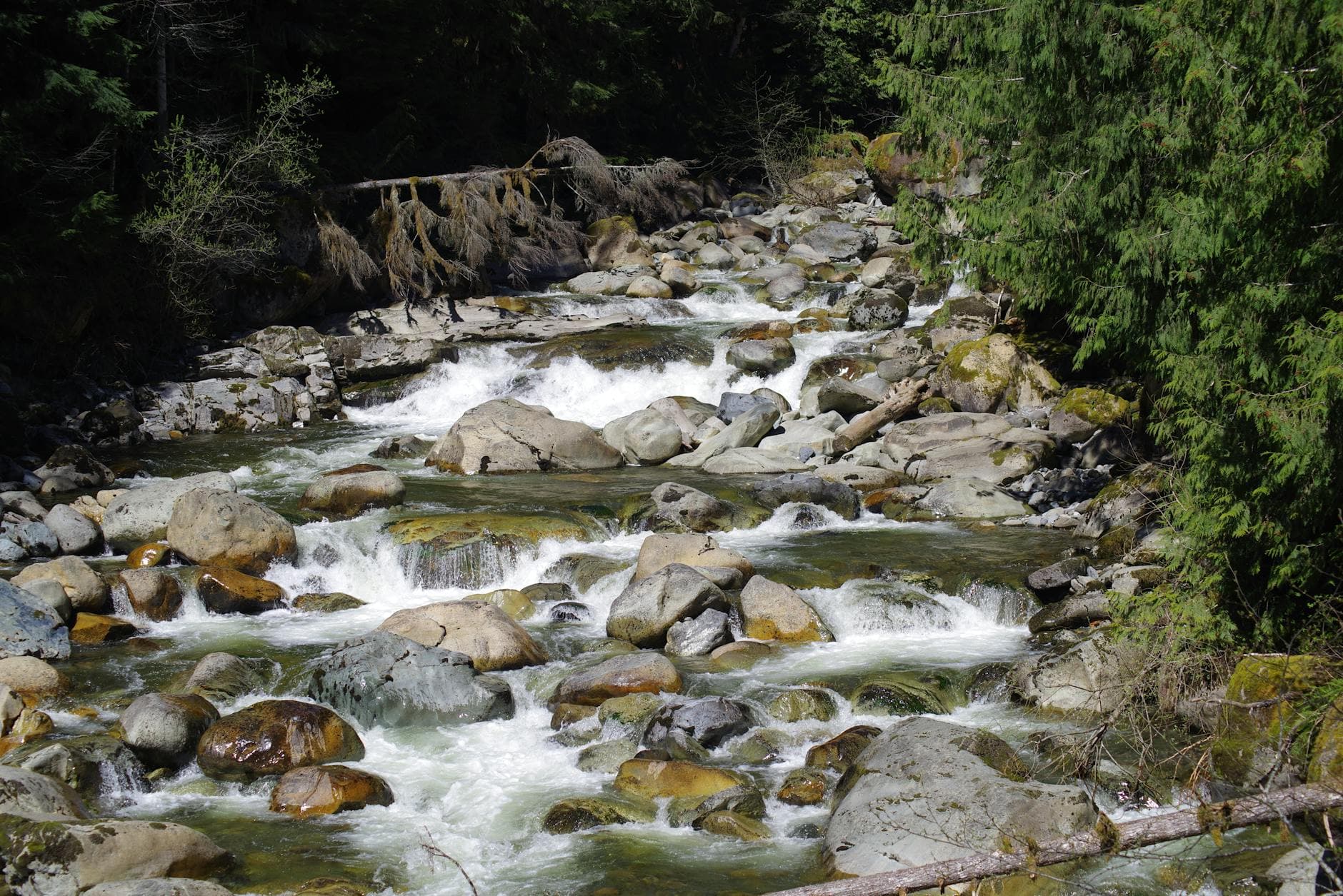 County, state cite Humboldt Hill owner over unpermitted stream grading