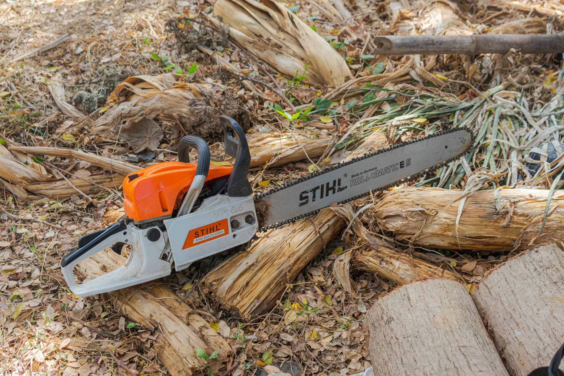 Prosecutors say D4vd bought chainsaw after allegedly killing teen