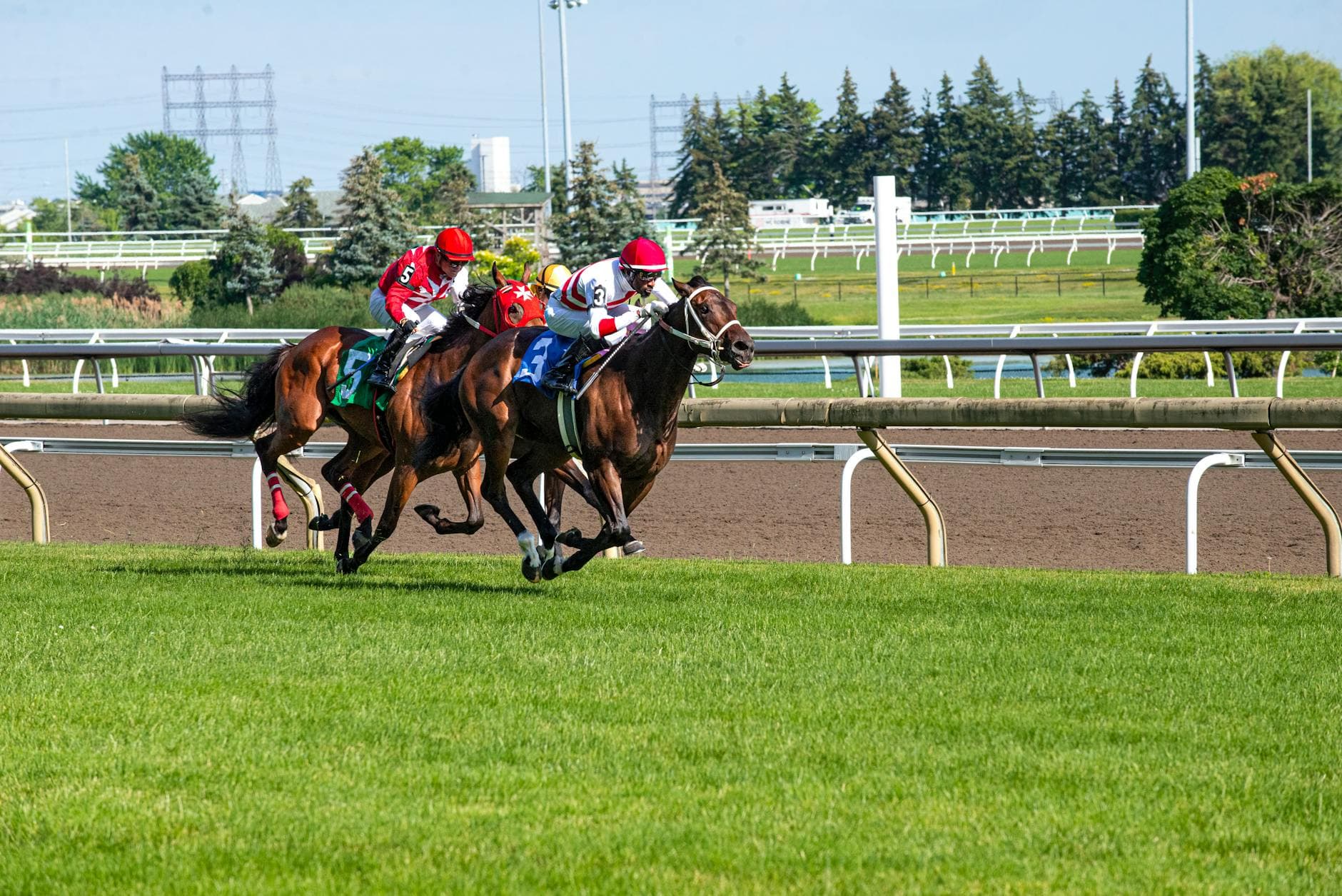 Meaning Validates Stonehaven Steadings’ Long Breeding Gamble, Eyes Kentucky Oaks