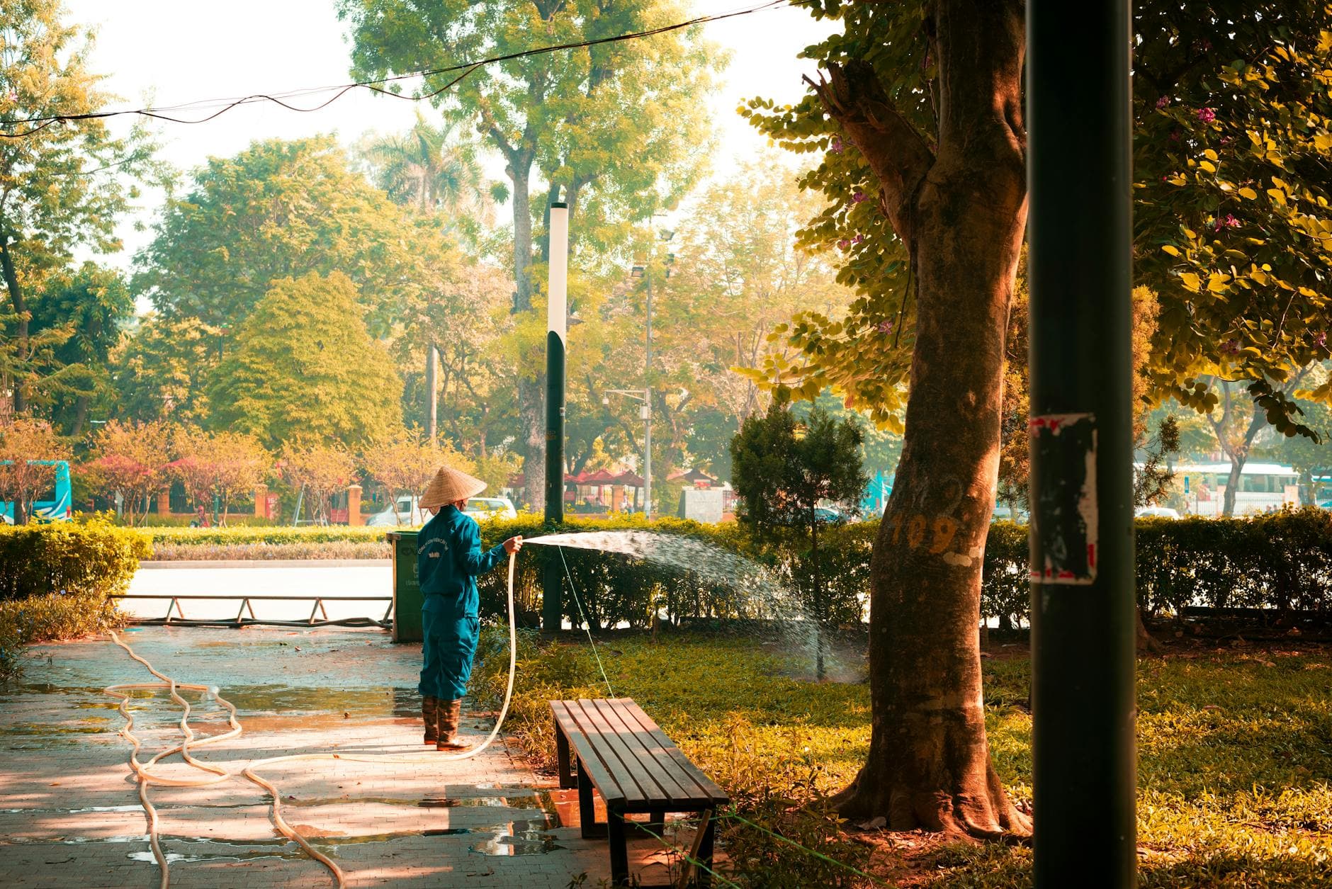 Douglas County invites volunteers to plant trees at Castle Rock park
