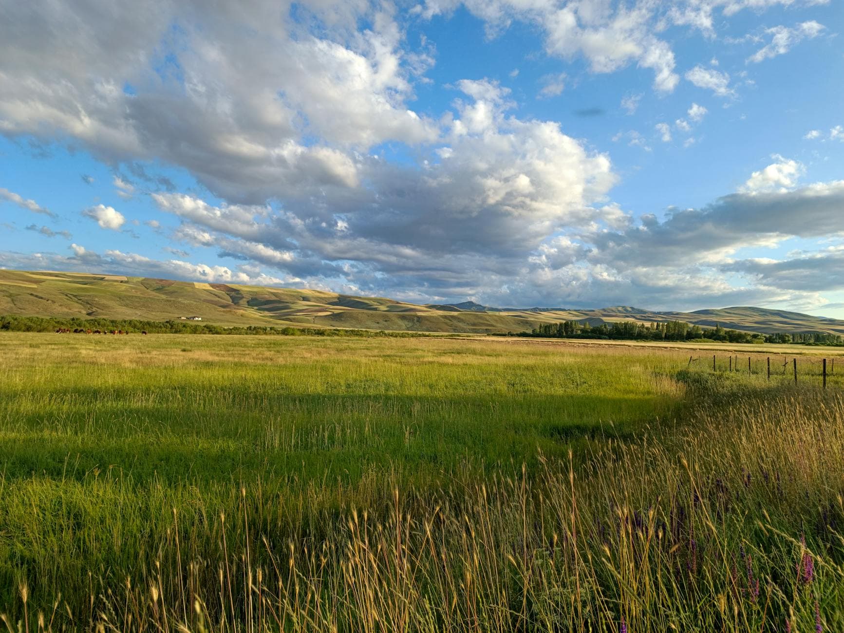 Douglas County teen missing from Highlands Ranch found safe, authorities say