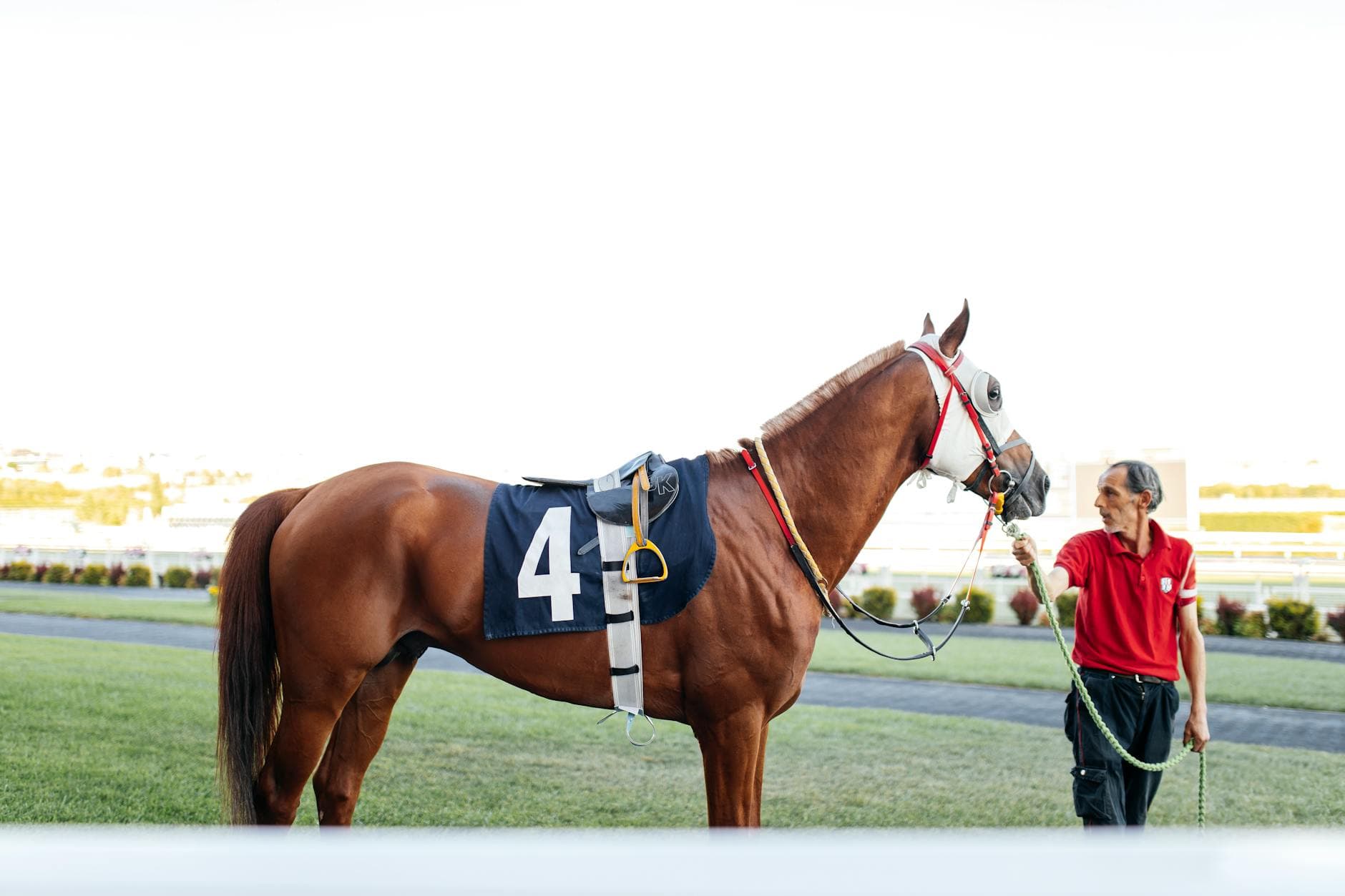Young Trainer Charlie Pike Seeks Classic Glory with Padraig Dawn