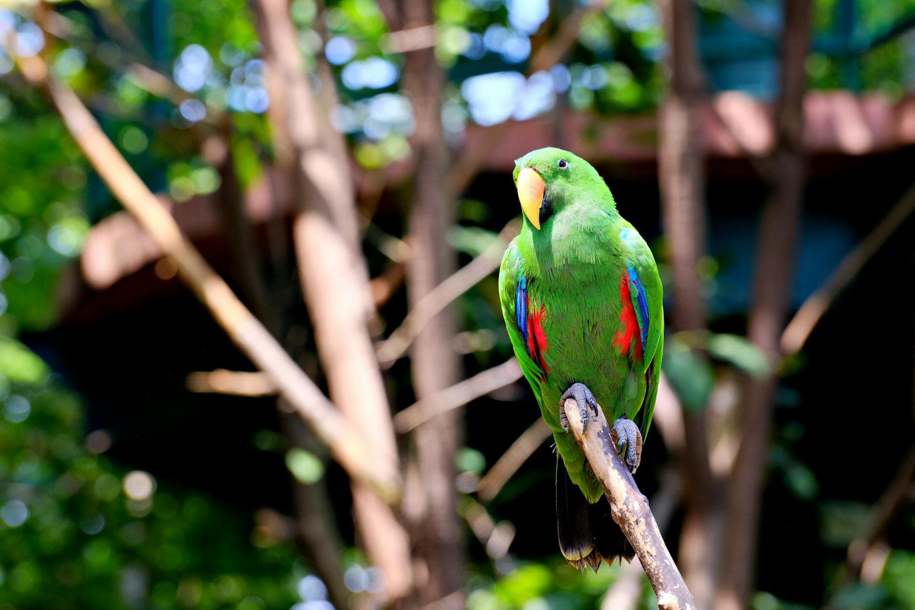 Related stock photo